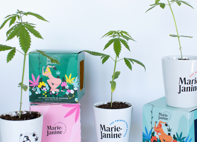 Gifts - Hemp planting kit - MARIE JANINE
