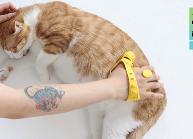 Pet accessories - [MONDOMIO] The Comma Grooming&Meesage Glove for pets - KIDP