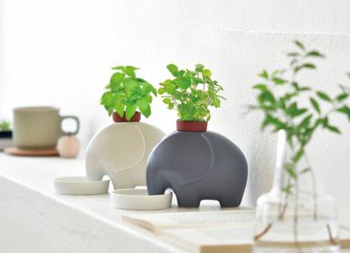 Cadeaux - Eleplant (Elephant + Plant) - NOTED