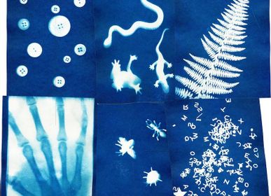 Cadeaux - Sunography - Cyanotype Photography - NOTED