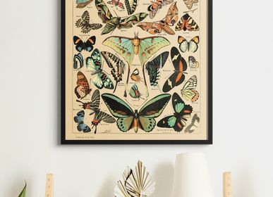 Affiches - Poster Vintage Papillons - Millot - ESQUE