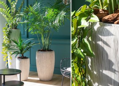 Floral decoration - Plants - LOU DE CASTELLANE - artificial plants and flowers - LOU DE CASTELLANE