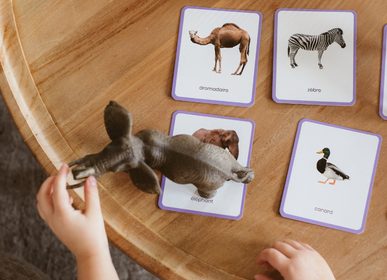 Toys - Mondy ™️, 600 Montessori cards  - OBSERVE MONTESSORI