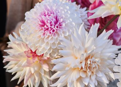 Floral decoration - AW23 - Contes d'inattendus - Bouquet de dahlias - Des fleurs et des plantes artificielles pour la vie ! - SILK-KA