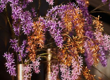 Décorations florales - AW23 - Envie de vacances - Wisteria - Des fleurs et des plantes artificielles pour la vie ! - SILK-KA