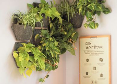 Floral decoration - Modular indoor vertical garden - CITYSENS