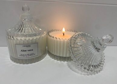 Candles - ALOE VERA SCENTED CANDLES - L'ECHOPPE BUISSONNIERE