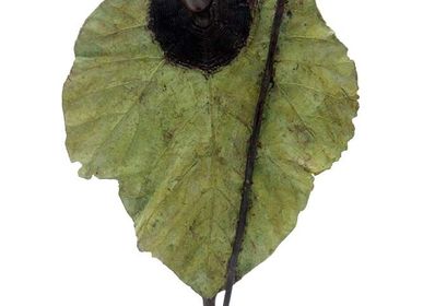Unique pieces - Natural man - BRONZES D'AFRIQUE