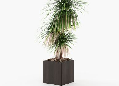 Vases - Stela Flower Pot - LASKASAS