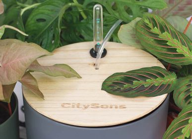 Office furniture and storage - Anthracite - Automatic drip irrigation with water tank - CITYSENS