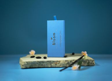 Parfums d'intérieur - Coffret de 25 encens Bluebird : Fève de Tonka - Copal Blanc - Vanille - BLOOM FRANCE