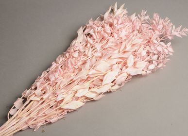 Floral decoration - Preserved pink ruscus H75cm - LE COMPTOIR.COM