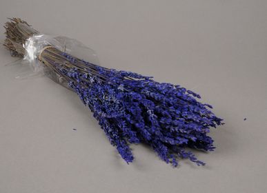 Floral decoration - Preserved blue lavender H50cm - LE COMPTOIR.COM
