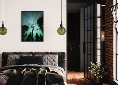 Art photos - Aurores boréales en Suède - ANNA DOBROVOLSKAYA-MINTS