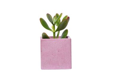 Floral decoration - Colored concrete pot for green plants - JUNNY