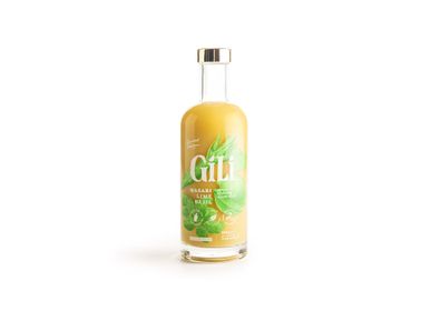 Cadeaux - GILI ELIXIR BIOLOGIQUE AU WASABI-LIMETTE 500ML - GILI