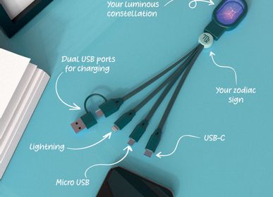 Other smart objects - Astro 4in1 cable - MOBILITY ON BOARD