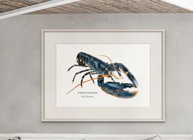 Poster - Poster The Lobster - Reproduction on art paper - VAREK ILLUSTRATIONS