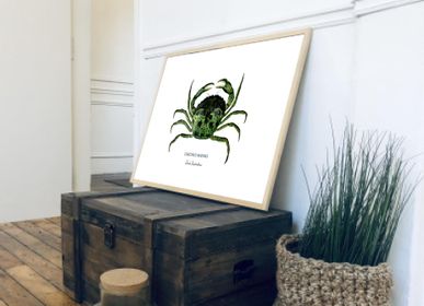 Affiches - Affiche le Crabe Vert - Reproduction sur papier d'Art - VAREK ILLUSTRATIONS