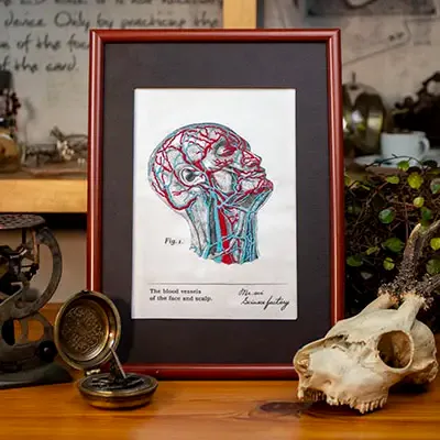 Loisirs créatifs pour enfant - APRES L'ECOLE - KITS DE BRODERIE POUR VAISSEAUX DE SANG Bricolage - SCIENCE INTERNATIONAL CO., LTD