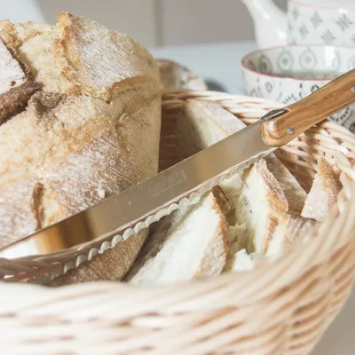 Flatware - “LAGUIOLE ANDRE VERDIER” cutlery - VERDIER COUTELLERIE