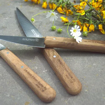 Knives - ECOOK - Collaboration with Anne-Sophie Pic and C+B Lefebvre - VERDIER COUTELLERIE