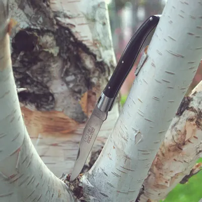 Knives - LAGUIOLE FOLDING KNIFE ANDRE VERDIER - Deluxe - VERDIER COUTELLERIE