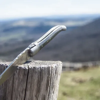 Gifts - LAGUIOLE FOLDING KNIFE ANDRE VERDIER - Prestige - VERDIER COUTELLERIE