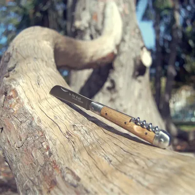 Gifts - LE TIRE-DROIT FOLDING KNIFE ANDRE VERDIER - 2 pc - VERDIER COUTELLERIE