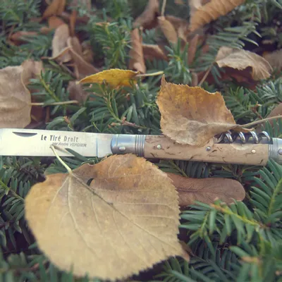 Gifts - LE TIRE-DROIT FOLDING KNIFE ANDRE VERDIER - 2 pc - VERDIER COUTELLERIE