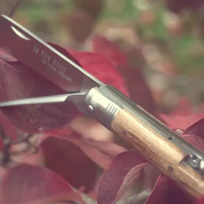 Gifts - LE TIRE-DROIT FOLDING KNIFE ANDRE VERDIER - 3 pc - VERDIER COUTELLERIE