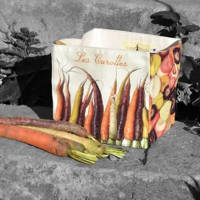 Food storage - Vegetables storage Boxes - MARON BOUILLIE