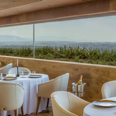 Chaises pour collectivités - Dor Chair Origins | Chaise et chaise pivotante - CREARTE COLLECTIONS