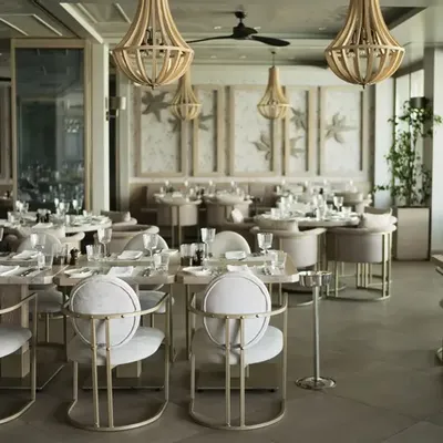 Lounge chairs - MEXIL LTD - MEXIL