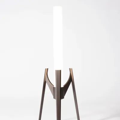 Lampes de table - Lampe de table I Head in Stars I Bronze - SOFTICATED