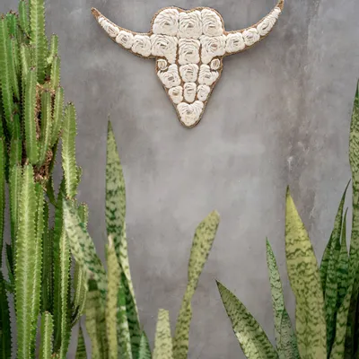 Objets de décoration - Le Bull Shell - Blanc - BAZAR BIZAR LIVING