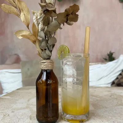 Ménagères - Les Pailles En Bambou - Lot De 10 - Avec Brosse De Nettoyage - BAZAR BIZAR LIVING