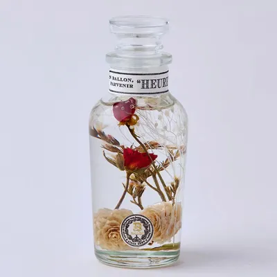 Floral decoration - Herbarium 2021 L (Pink)/BALLOON - ABINGPLUS