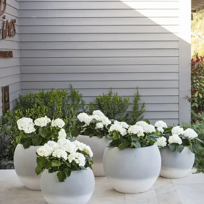 Flower pots - CORTINA - POT À PORTER