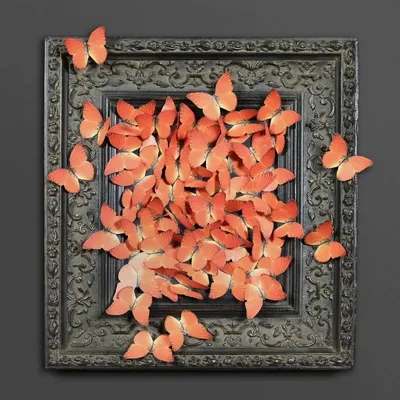 Decorative objects - POETIC CURIOSITIES - ATELIERS DAVOY