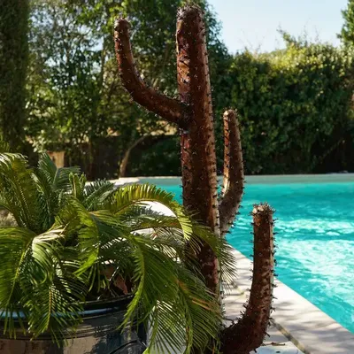 Outdoor decorative accessories - Cactus candelabre - ARROSOIR & PERSIL