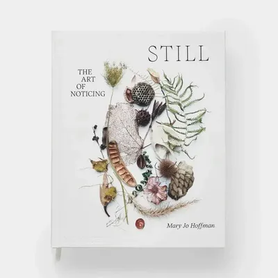 Papeterie - Still: The Art of Noticing - PHAIDON