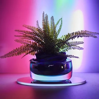 Verres - Vases - JU.DESIGN