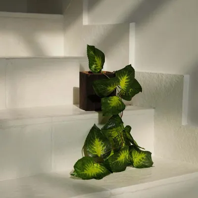 Vases - Le Vase Bondi - Carré - BAZAR BIZAR LIVING