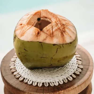 Potholders - The Seagrass Shell Pan Coaster - White - BAZAR BIZAR LIVING