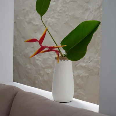 Vases - Le Vase Sneaky - Blanc Naturel - M - BAZAR BIZAR LIVING