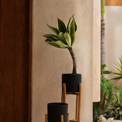 Vases - Jardinière Charcoal Bas - Noir Naturel - S - BAZAR BIZAR LIVING