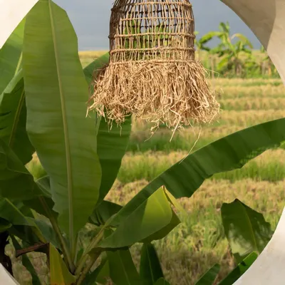 Hanging lights - The Casita Pendant - Natural - S - BAZAR BIZAR LIVING