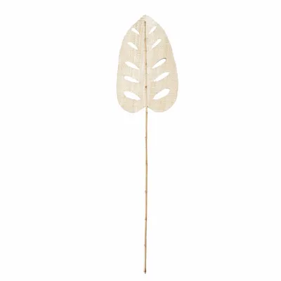 Objets de décoration - La Feuille d'Hyacinthes d'Eau - Naturelle - BAZAR BIZAR LIVING