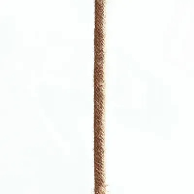 Interrupteurs - Lampes à Poser - Naturel - BAZAR BIZAR LIVING